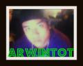 arwintot