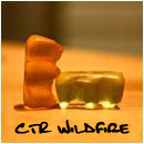 CTR_WildFire