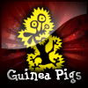 Guinea Pigs